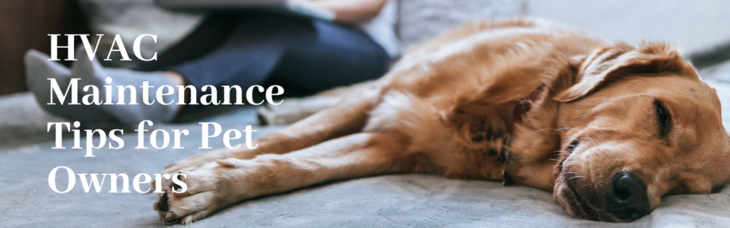 HVAC Maintenance Tips for Pet Owners